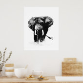 Zwart-wit olifant posters prints (Keuken)