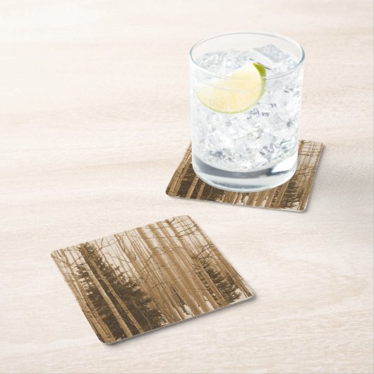 Zwart-wit Onderzetter van het Aspen-bos (Insitu)