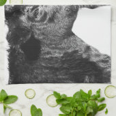 Zwart-wit op Angus Cattle Kitchen Towel Theedoek (Gevouwen)