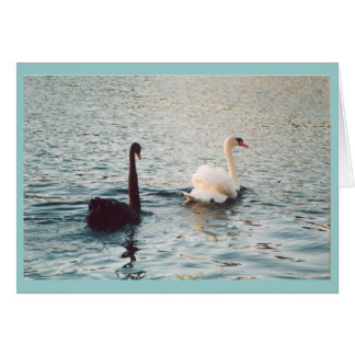 Zwart-wit op de Rideau