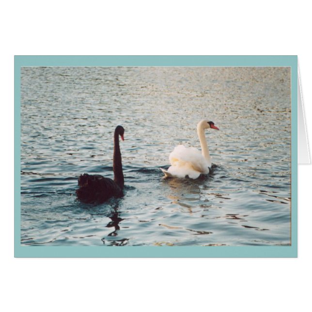 Zwart-wit op de Rideau (Voorkant Horizontaal)