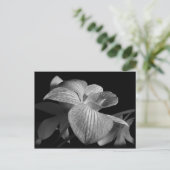 Zwart-wit orchidee Briefkaart (Staand voorkant)