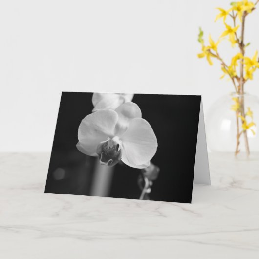 Zwart-wit orchidee foto "Happy Birthday!" Kaart (Gele Bloem)