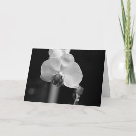 Zwart-wit orchidee foto "Happy Birthday!" Kaart