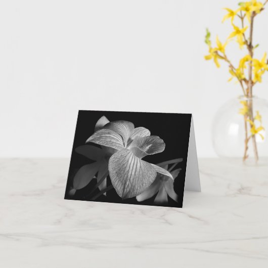 Zwart-wit Orchidee Note Kaart (Gele Bloem)