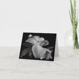 Zwart-wit Orchidee Note Kaart