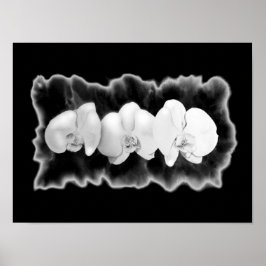 Zwart Wit Orchidee waterverf schilderij bloemig Poster