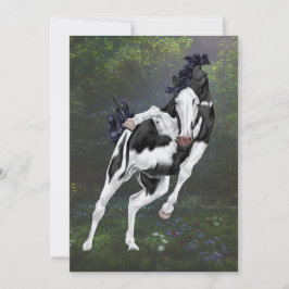 Zwart-wit Overo Paint Horse Print