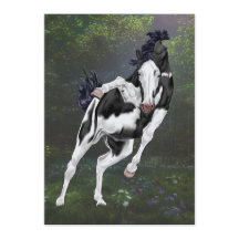 Zwart-wit Overo Paint Horse Print