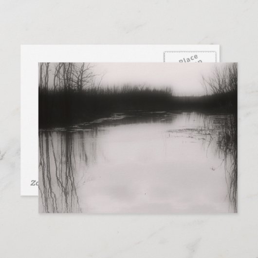 Zwart-wit Overstroomd Veld Briefkaart (Voorkant / Achterkant)