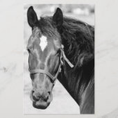 Zwart Wit Paard Briefpapier (Voorkant)