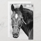 Zwart Wit Paard Briefpapier (Voorkant / Achterkant)