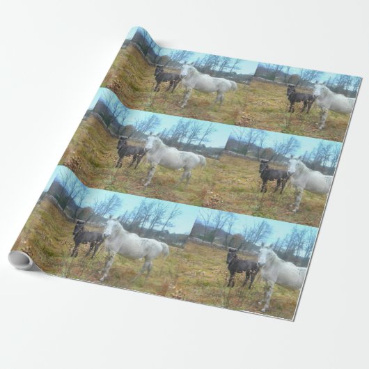 Zwart wit paard cadeaupapier (Uitgerold)