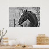 Zwart Wit Paard - Dierenfotografie Kunstwerk Poster (Keuken)