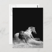 Zwart-wit paard in actie briefkaart (Voorkant / Achterkant)