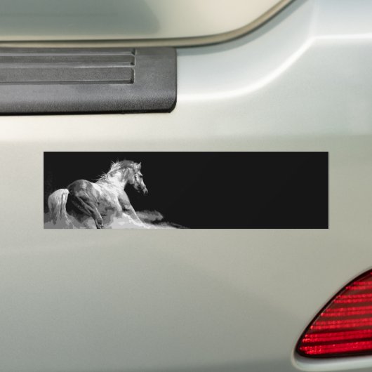 Zwart-wit paard in actie bumpersticker (Op auto)