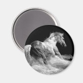 Zwart-wit paard in actie magneet (Voorkant / Achterkant)