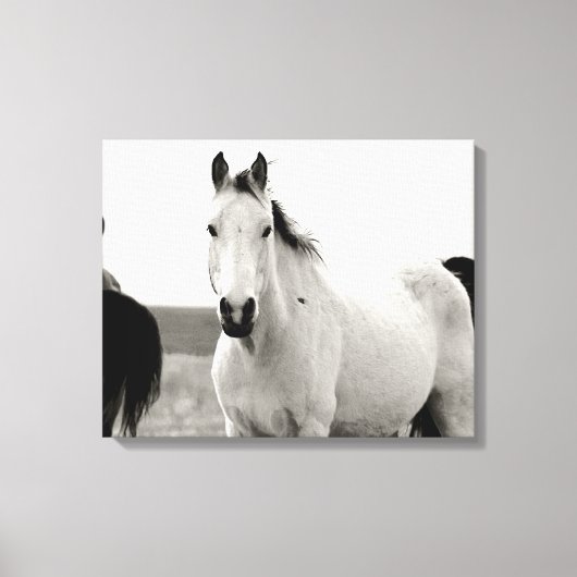 Zwart-wit Paard in de Flint Hills Canvas Afdruk (Voorkant)