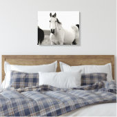 Zwart-wit Paard in de Flint Hills Canvas Afdruk (Insitu (Slaapkamer))