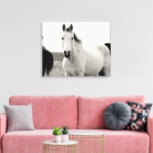 Zwart-wit Paard in de Flint Hills Canvas Afdruk (Insitu (Woonkamer))