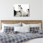 Zwart-wit Paard in de Flint Hills Canvas Afdruk (Insitu (Slaapkamer))
