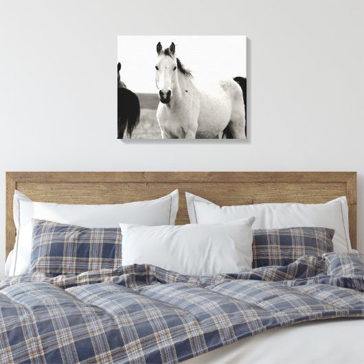 Zwart-wit Paard in de Flint Hills Canvas Afdruk (Insitu (Slaapkamer))