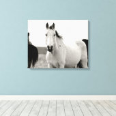 Zwart-wit Paard in de Flint Hills Canvas Afdruk (Insitu (Houten vloer))