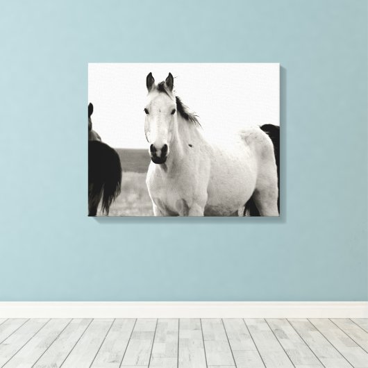 Zwart-wit Paard in de Flint Hills Canvas Afdruk (Insitu (Houten vloer))