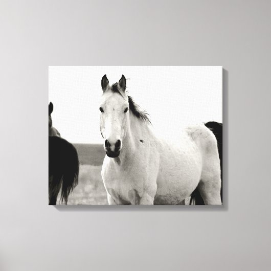 Zwart-wit Paard in de Flint Hills Canvas Afdruk (Voorkant)