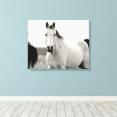 Zwart-wit Paard in de Flint Hills Canvas Afdruk (Insitu (Houten vloer))