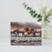 Zwart Wit Paard Monochroom Afbeelding Briefkaart (Staand voorkant)