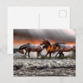 Zwart Wit Paard Monochroom Afbeelding Briefkaart (Voorkant / Achterkant)