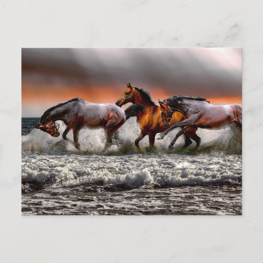Zwart Wit Paard Monochroom Afbeelding Briefkaart (Voorkant)