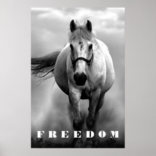 Zwart wit paard Motivatie Freedom Artwork Poster