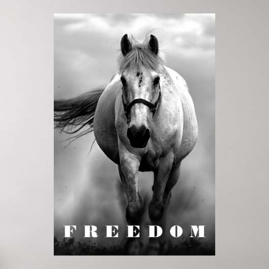 Zwart wit paard Motivatie Freedom Artwork Poster (Voorkant)