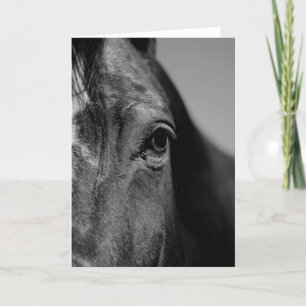 Zwart Wit Paard Oog Kunstwerk Kaart