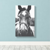 Zwart-wit Paard Portret Foto Canvas Print (Insitu (Houten vloer))