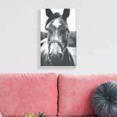 Zwart-wit Paard Portret Foto Canvas Print (Insitu (Woonkamer))