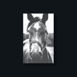 Zwart-wit Paard Portret Foto Canvas Print<br><div class="desc">Een mooie foto van zwart-wit paard die een perfect accent zal zijn voor je thuis of kantoor.</div>