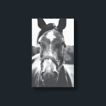 Zwart-wit Paard Portret Foto Canvas Print<br><div class="desc">Een mooie foto van zwart-wit paard die een perfect accent zal zijn voor je thuis of kantoor.</div>