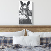 Zwart-wit Paard Portret Foto Canvas Print (Insitu (Slaapkamer))