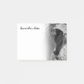 Zwart-wit paard Post-It Notes (Voorkant)