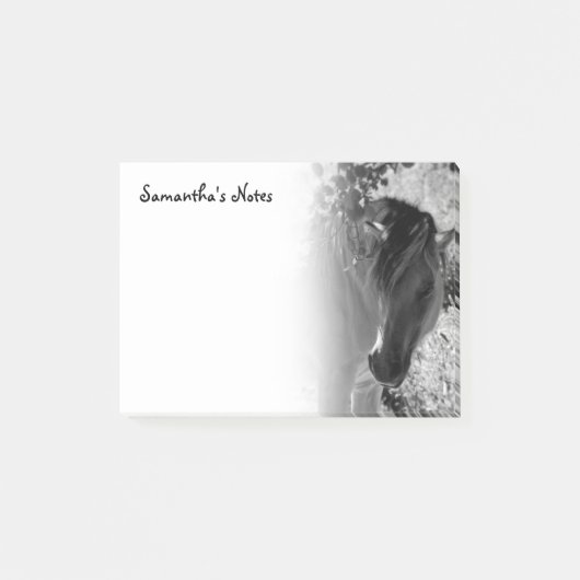 Zwart-wit paard Post-It Notes (Voorkant)