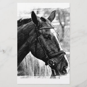 Zwart-wit paard schets briefpapier
