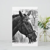 Zwart-wit paard schets briefpapier (Staand voorkant)