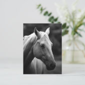 Zwart-wit paardenhoofd briefkaart (Staand voorkant)