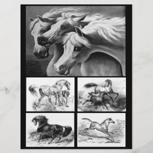 Zwart-wit paardenkunst voor papierbewerking