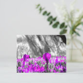 Zwart wit Paars ventilator zwart-wit Briefkaart (Staand voorkant)