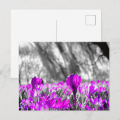 Zwart wit Paars ventilator zwart-wit Briefkaart (Voorkant / Achterkant)