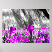 Zwart wit Paars ventilator zwart-wit Poster (Voorkant)